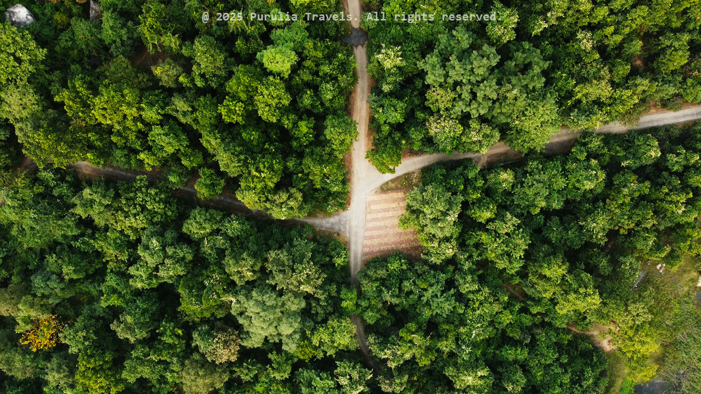 Matha-Forest-Range---Purulia-Travels