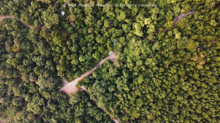 Matha-Forest-Top-View---Purulia-Travels